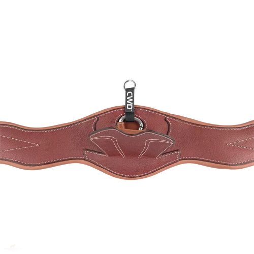 CWD Anatómiai Heveder, világosbarna