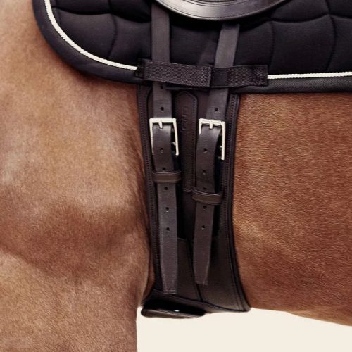 CWD Díjlovas Heveder, fekete-ezüst