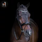 Imperial Riding Snaffle Kantár, fekete-crystal