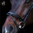 Imperial Riding Snaffle Kantár, fekete-crystal