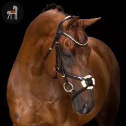 Imperial Riding Mexikói Kantár, sötétbarna
