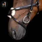 Imperial Riding Mexikói Kantár, sötétbarna