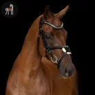 Imperial Riding Mexikói Kantár, fekete
