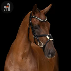 Imperial Riding Mexikói Kantár, fekete