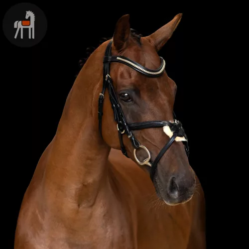 Imperial Riding Mexikói Kantár, fekete