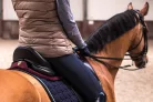 Winderen nyeregemelő, Díjlovas Slim/Comfort, Claret