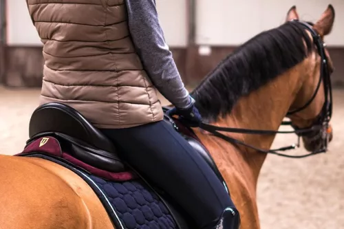 Winderen nyeregemelő, Díjlovas Slim/Comfort, Claret