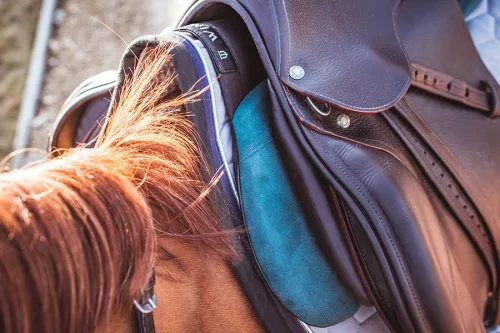 Winderen Ugró Nyeregemelő, Jumping Slim/Comfort, Emerald