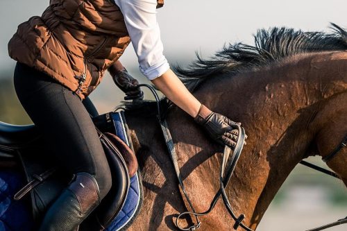 Winderen Ugró Nyeregemelő, Slim/Comfort, Chocolate