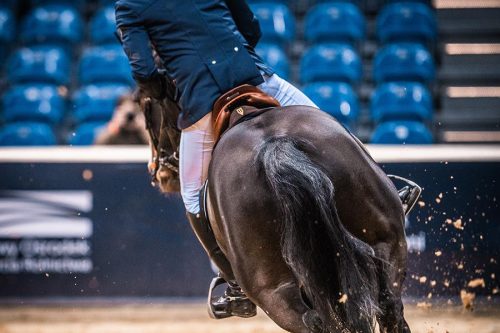 Winderen Ugró Nyeregemelő, Slim/Comfort, Chocolate