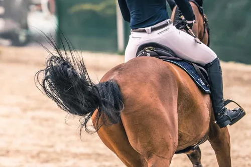 Winderen Ugró Nyeregemelő, Slim/Comfort, Coal