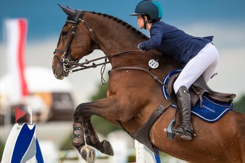 Winderen Ugró Nyeregemelő, Slim/Comfort, Dark Blue/Rose Gold