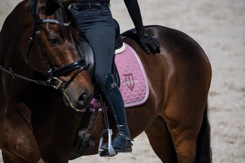 Winderen Díjlovas Nyeregalátét, Lollipop/Silver