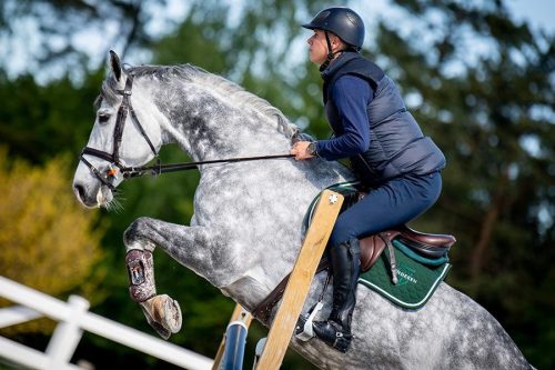 Winderen Díjlovas Nyeregalátét, Malachite/Silver