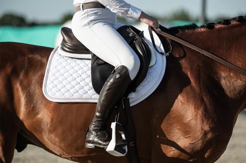 Winderen Díjlovas Nyeregalátét, Snowflake/Rose Gold