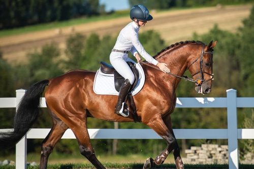 Winderen Ugró Nyeregalátét, Snowflake/Rose Gold