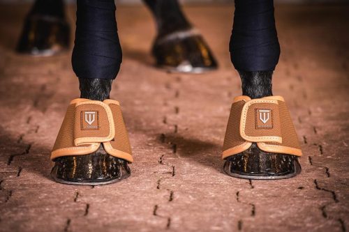 Winderen pataharang, Camel