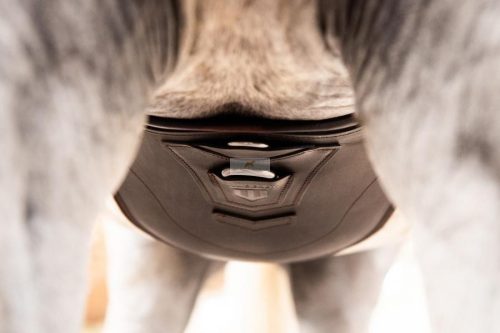 Winderen Hasvédő heveder Díjugratáshoz