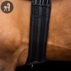 Imperial Riding Basic Anatómiai Heveder, fekete