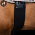 Imperial Riding Basic Neoprén Anatómiai Heveder, fekete